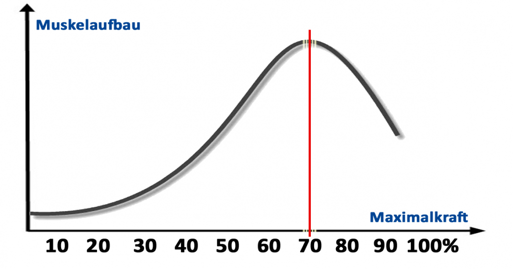 Genau richtig trainieren mit dem Isokinator