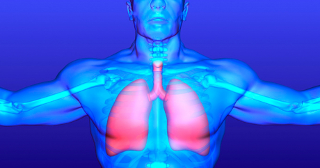 Die richtige Atmung gibt mehr Lungenkraft und Lung